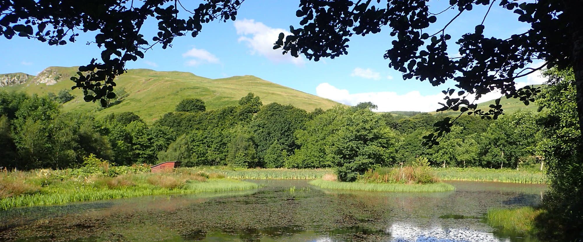 Balbeg Country Holidays countryside view